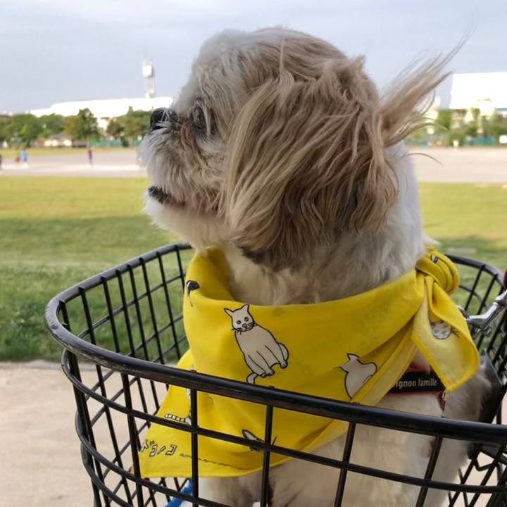 665abeb4 326d 4bde b7b5 83d161c84048 1559252848388