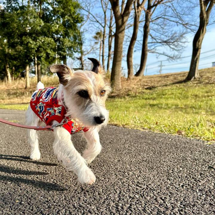 665b0b35 0775 4af2 9768 dfd067581299 1710163189794