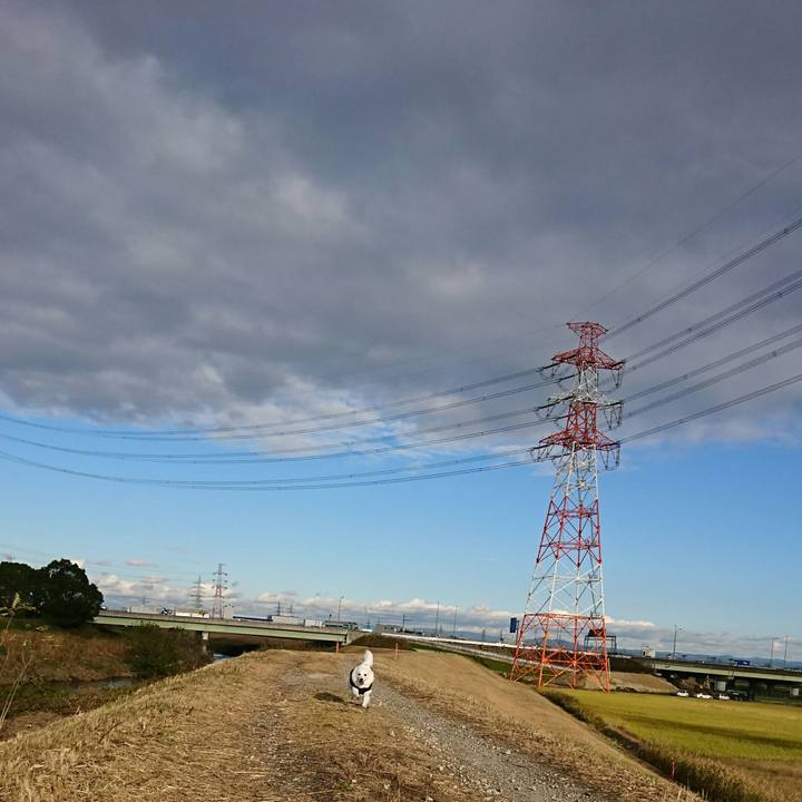 665b369f e43d 47b5 883b af371b2f4c0a 1510814125267