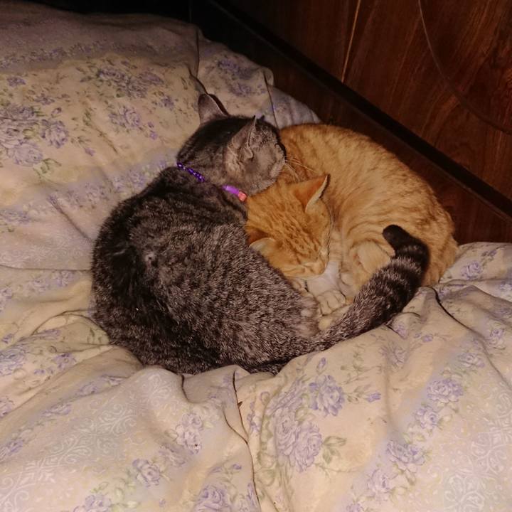 665b4b3a 921c 4568 a8c8 6b7b573a7ef1 1580146056752