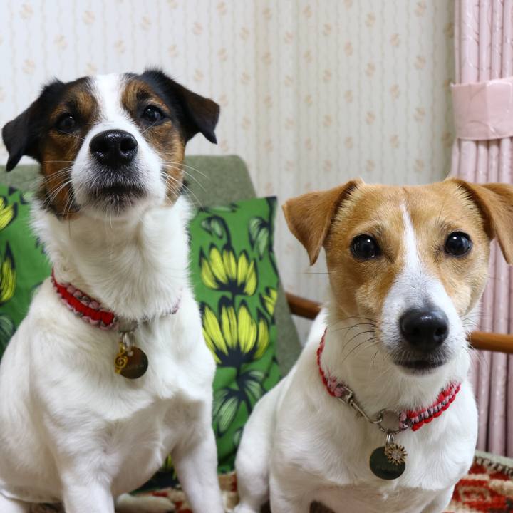 665b5ec0 6920 49c6 bcd1 6d79b93fdb3c 1551954468889