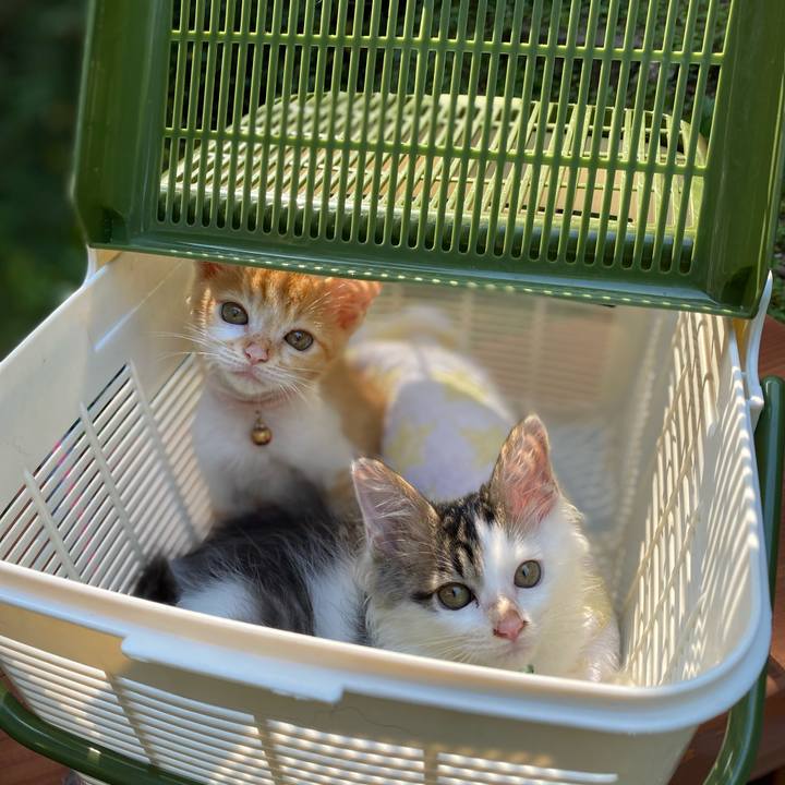 665b6577 378e 4954 83eb efdc97e09e9a 1630308503700