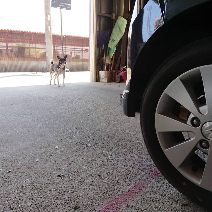 665b7a2a 890e 4a89 9798 224b4dce9536 1583729366655