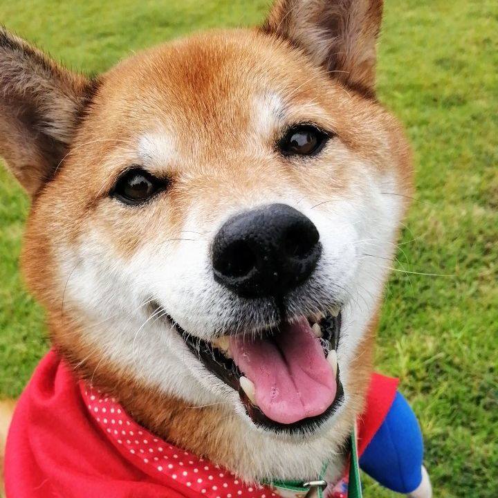 665baafa cba8 4a53 b628 b4bc4e36c116 1632828899062