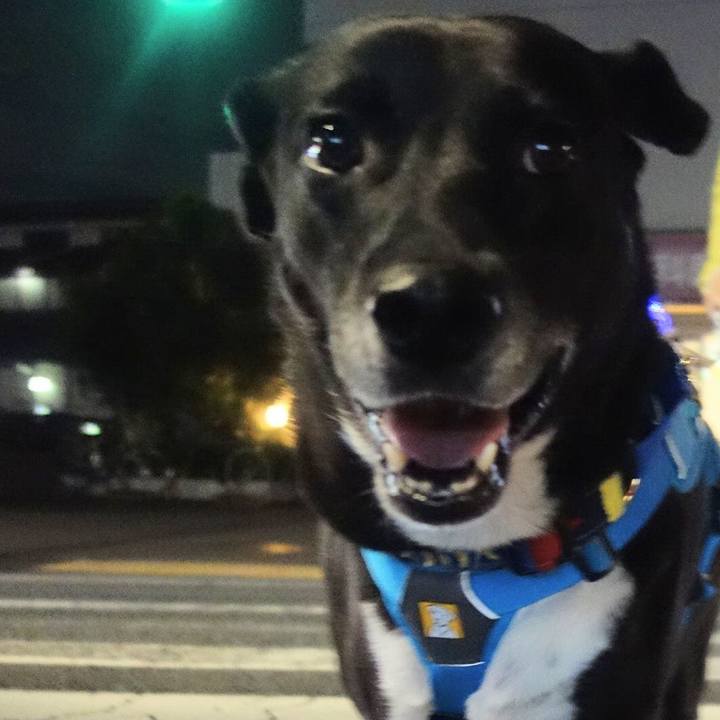 665be560 c201 458b af77 cfdca1776999 1669287171476