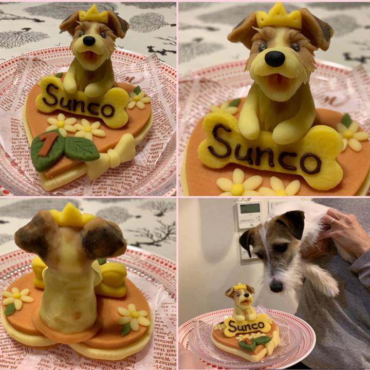 665beaf9 00e0 44ca 8cfb 0a84e8b9f072 1583234449205