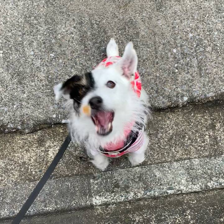 665c2dbc 1beb 45b3 841f bdff528b5ba3 1677115106705