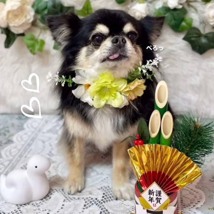 665c7344 eaf8 4ca0 a3a5 e7ad69f99c68 1736416656119