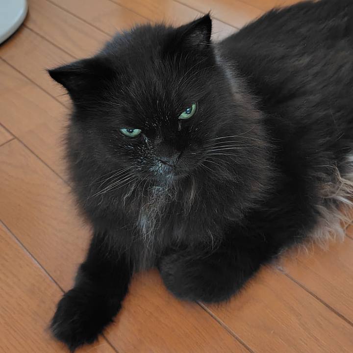 665cc5af 3d71 4e9c a3ee caaf18ea2a78 1720348230274