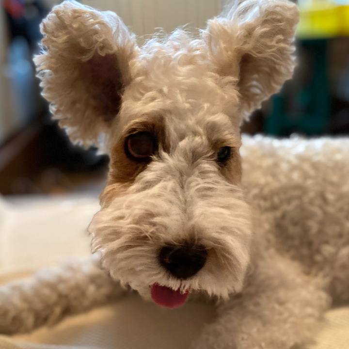 665cd4e2 b002 4d38 b582 306f8d5fa3d1 1592787734346