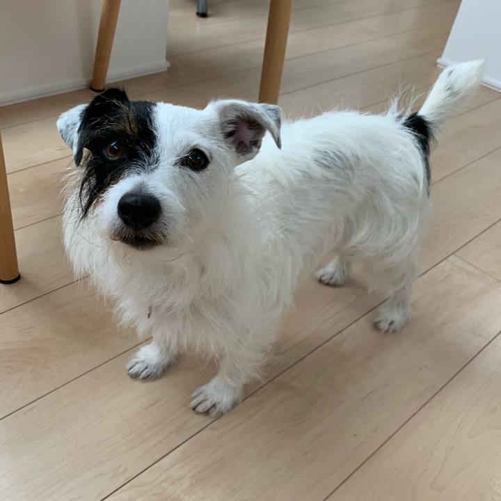 665ceb6c 7759 4a33 8707 f2825782733d 1593989518544