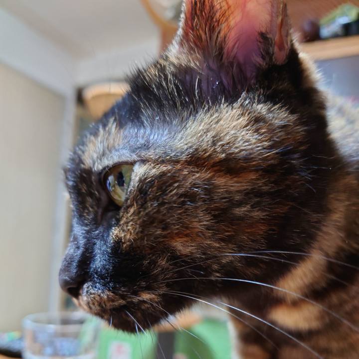 665d11a9 1ace 47c9 bb2e 94cf92a2e4d6 1682339327182