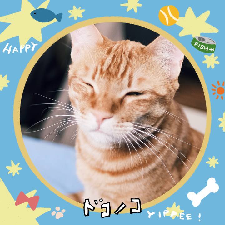 665d1871 6d4d 412b 995b 3e1da94eb711 1720786869627