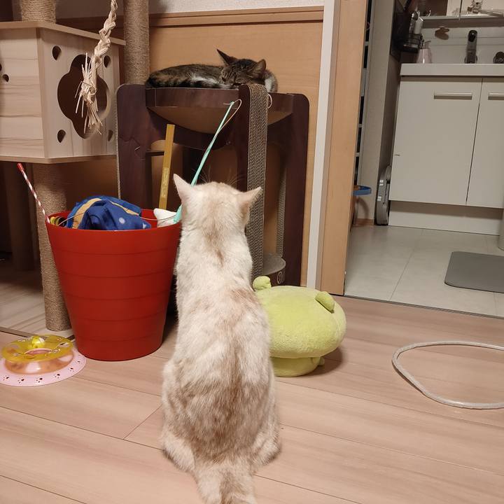 665d298d 9577 4e02 a69f 2c9ebceaaa29 1662379331134