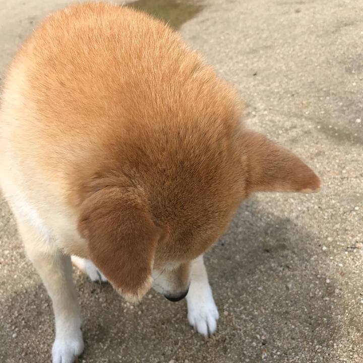 665d49c5 ad29 41dd 8ad2 8195db1e8a46 1528347199918