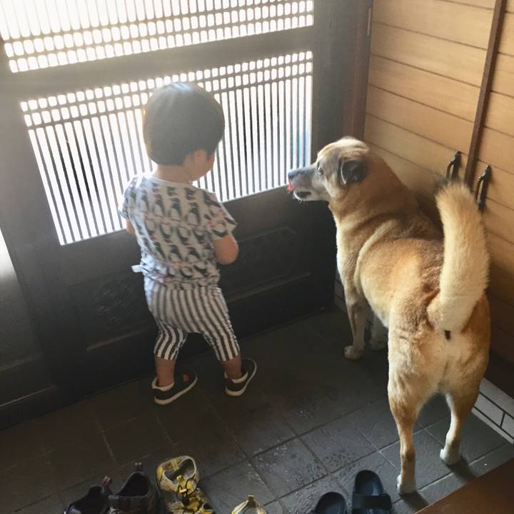 665d57ff 0f9e 4cb7 9f44 4123add0e2f6 1527913980756