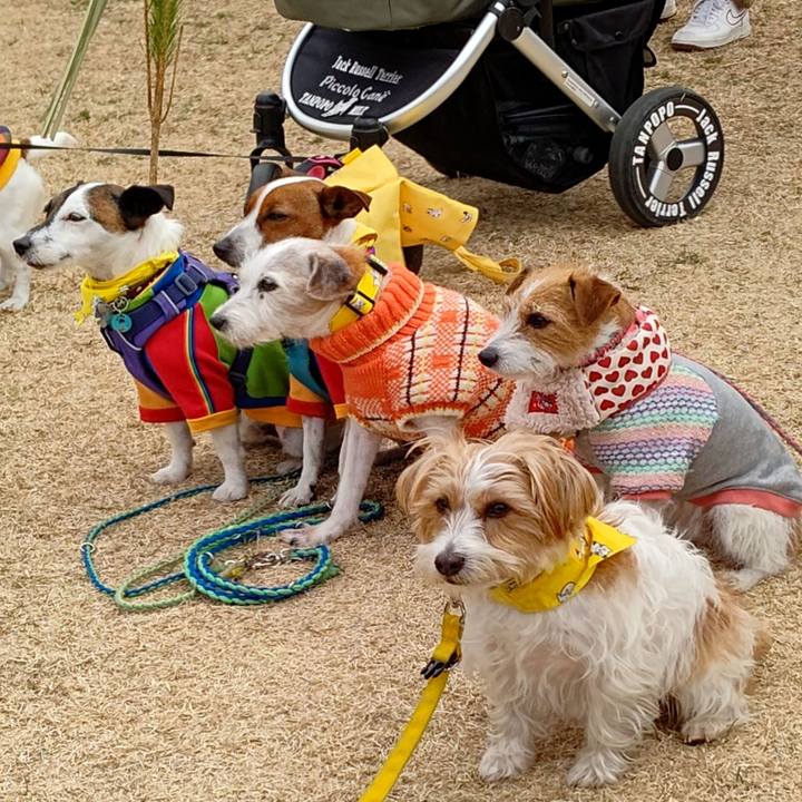 665d6fd0 882d 4a66 9a3e e3e3f70b7ca1 1732969235799