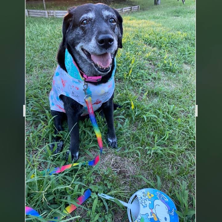 665d8b87 b5db 4f71 8d29 d3e450fab709 1692264226503