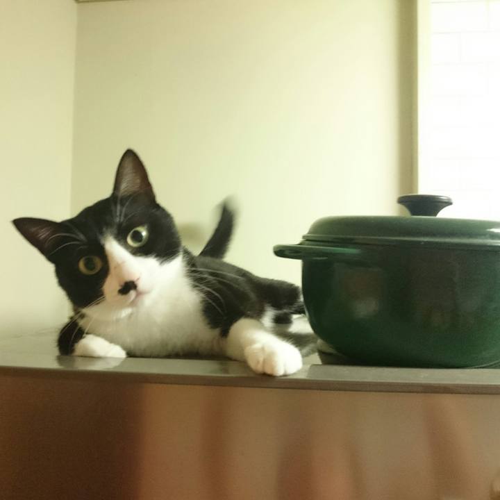 665dab86 f56d 447f a21e a35f22ec096c 1507815721627