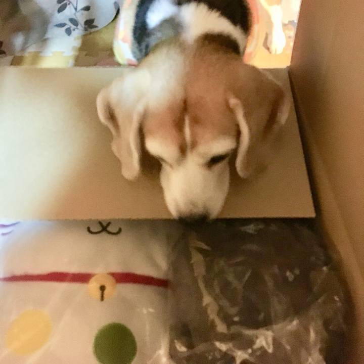 665dd2eb 88ab 4feb afd0 14725aae54d0 1731802326248