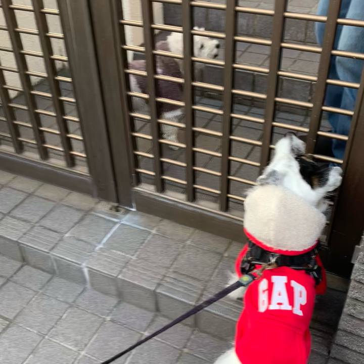 665df49c 96e6 45db 9190 68ce566f1847 1734568890855