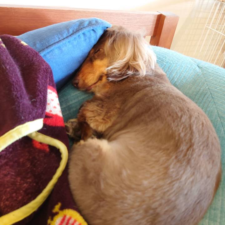 665e306c 5804 4f7b 8598 bd40af4eba9a 1615363085515