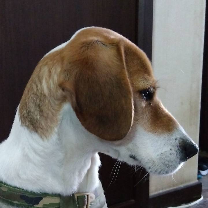 665e332b 9520 4e23 8ab3 5908588ee88c 1675244254194