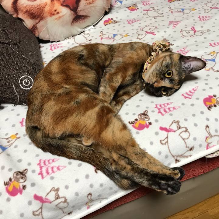 665e4862 ce05 442d bc12 d996d5956903 1650976083385