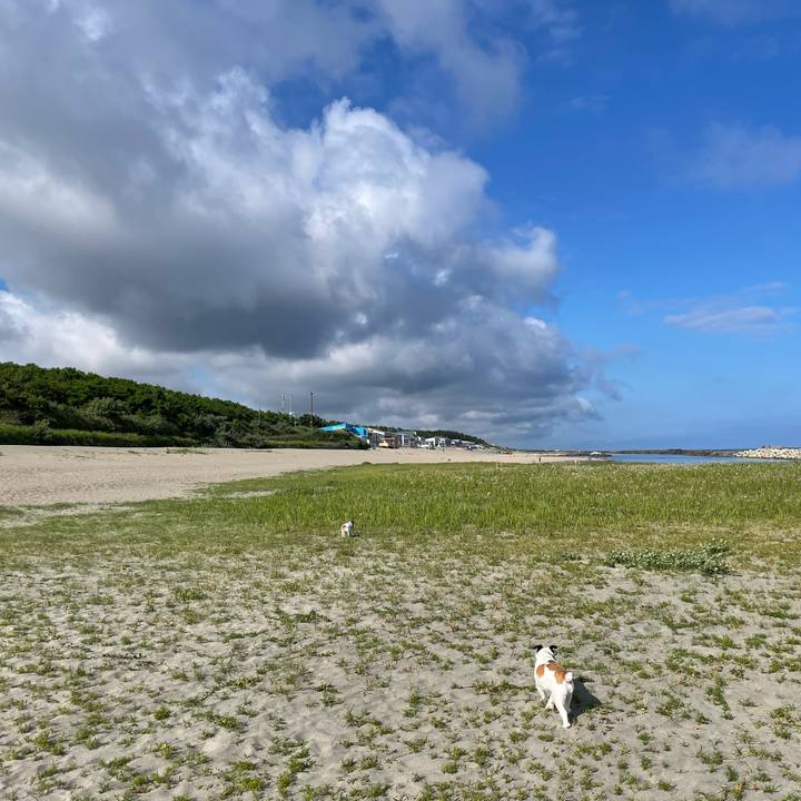 665e5900 a610 4873 875b aed01ef78e94 1687648634931