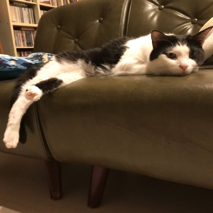 665e9e3b 73f2 4b53 b0e7 6d69469b2cd6 1525087108869