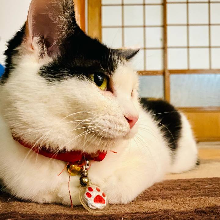 665ea224 d298 4e15 8310 48afe261d93e 1754830946081