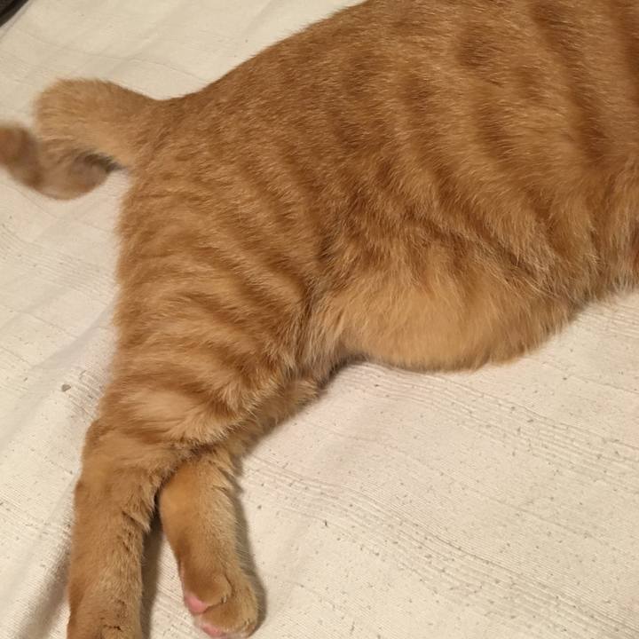 665ea379 9d39 43fc a1a6 a72dd657a9ef 1539428823958