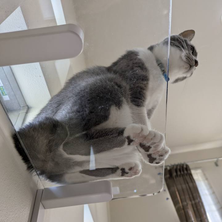 665ed7f4 6329 438f b5c3 c8b9802aeb05 1762501214318