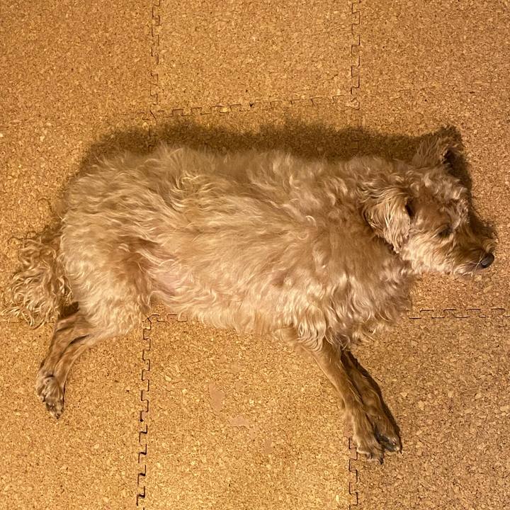 665ee217 8f90 4b85 b7ee 4767dd0cf75e 1631438602789