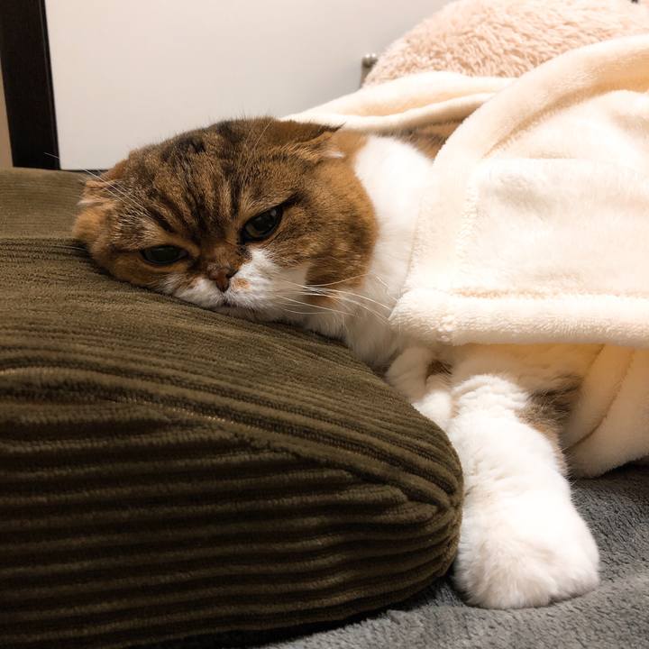 665f159d 46ab 4eba b7ac 80b42121728b 1551022929318