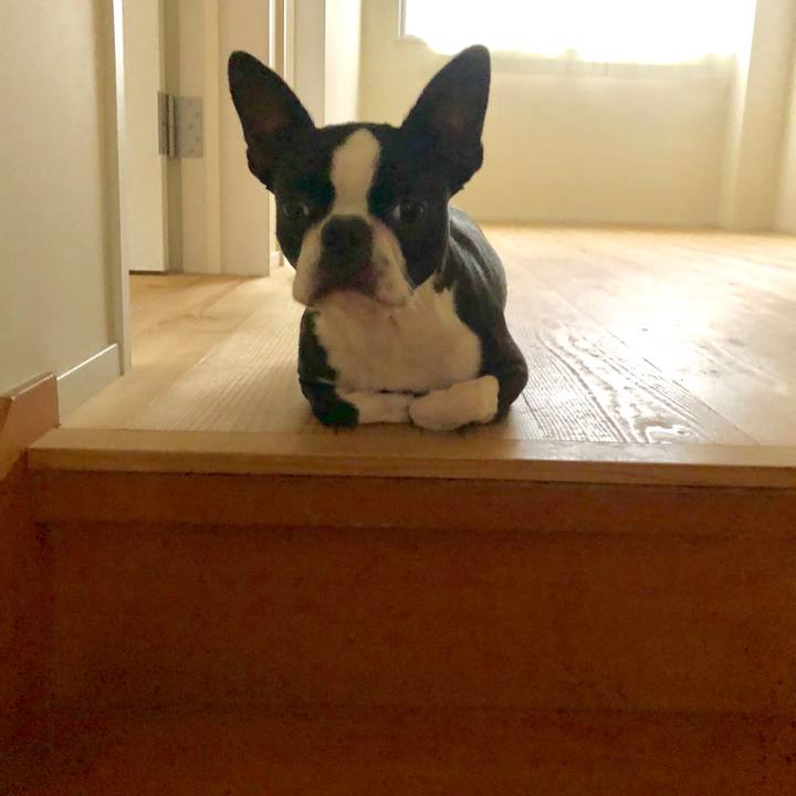 665f45d3 0e90 4830 920a db36d7ea1968 1526187732505