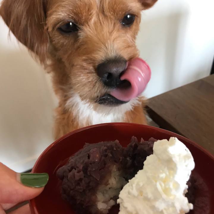 665f694e 9fd5 466c b86d ae52e93207b8 1567918796311