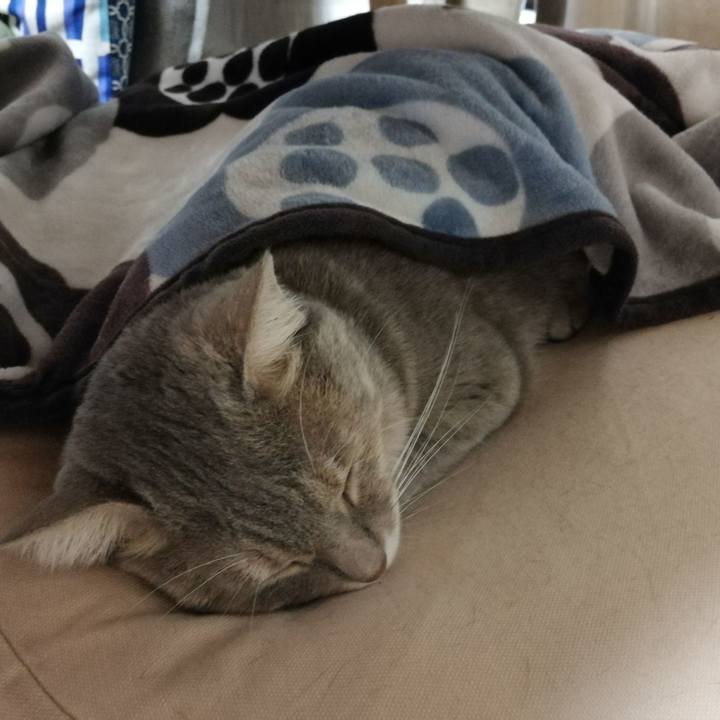 66601e27 dd72 4de0 82f4 d978c1380954 1538232987673