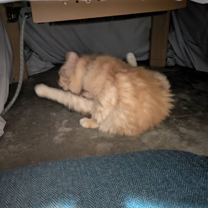 66607efe 95b2 4386 8466 67b84c218b1b 1732800808135