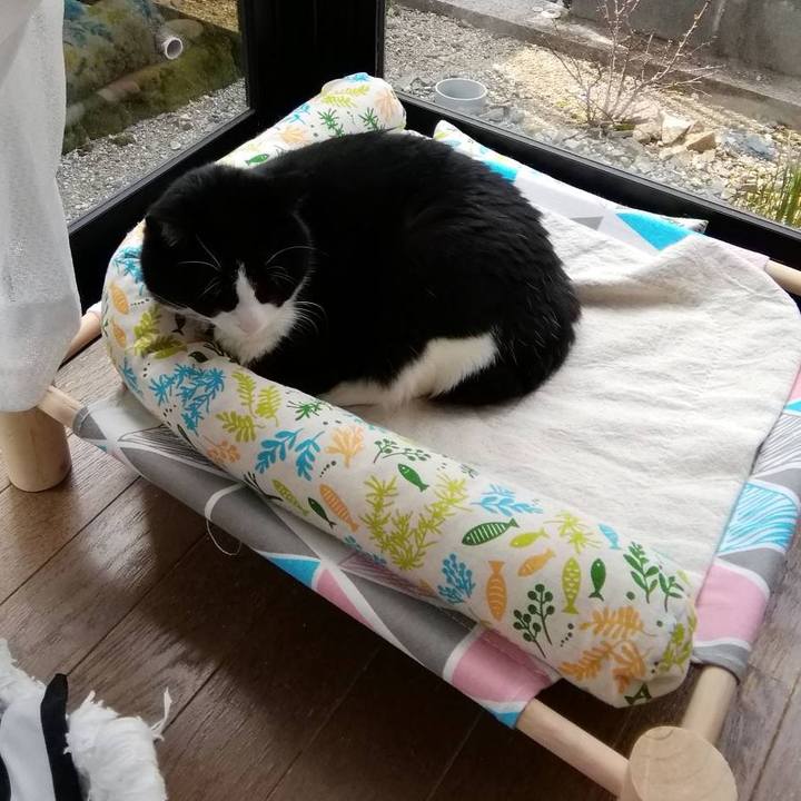 6660a68f ee6d 4dc4 9ed4 68251204a142 1615708734456