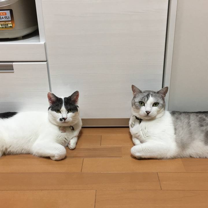 6660b4b3 3c11 4fc9 8b4c 012cbeb149d2 1528455045261