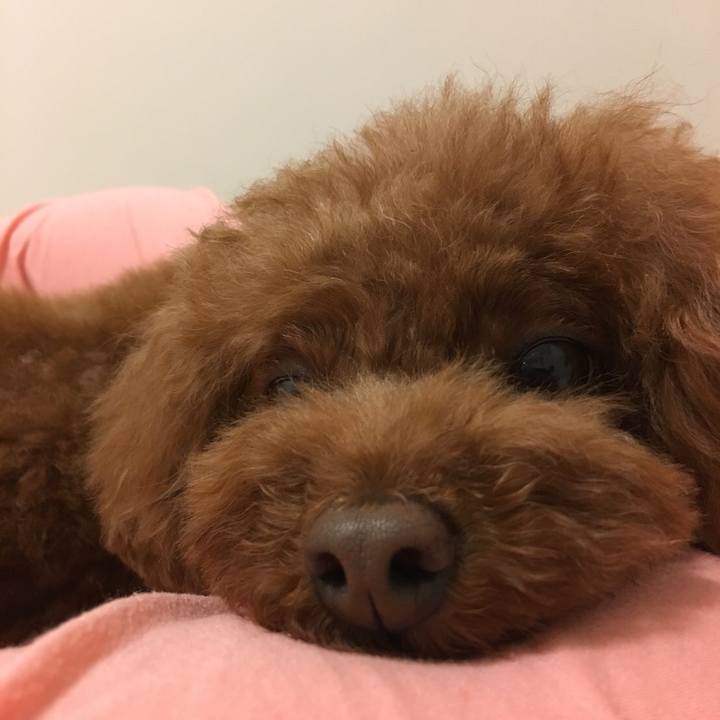 6660d4f3 d5de 4e49 a0a1 6a0e727b8df7 1529929650696