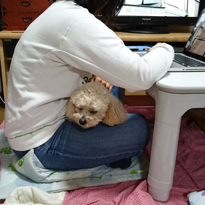 6660e153 eb87 4605 98ab eec82b78ed5f 1529407369987