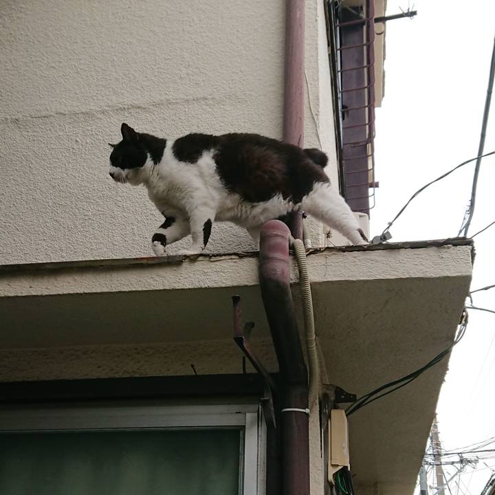 666105e5 953e 49c8 beb8 88f1b449dfcc 1562989247672