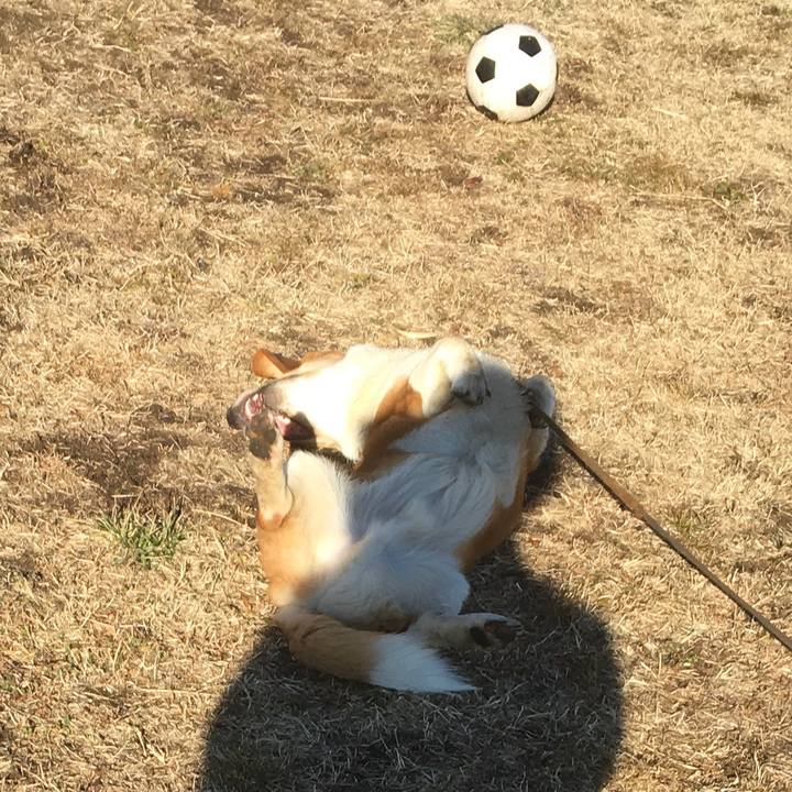 66615b5b 9eb6 4e5f bc52 56f0dc143082 1612319094229