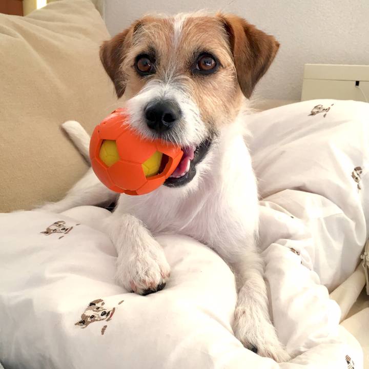 6661ca67 2ccf 4598 ad34 98f75f9b46eb 1540690833621