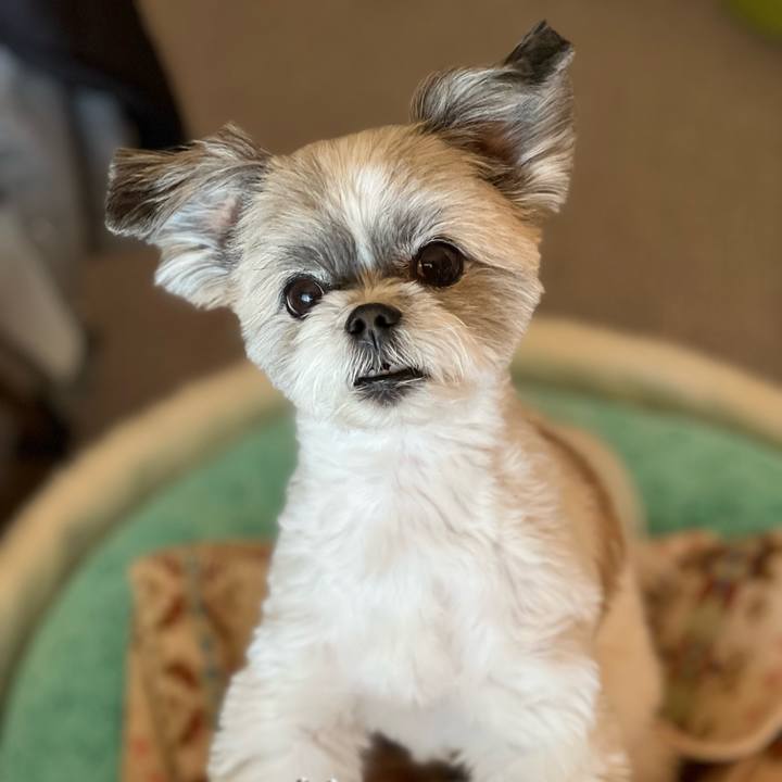 6661ddf6 d668 4353 a11f b51cf4b69aa7 1705046750795