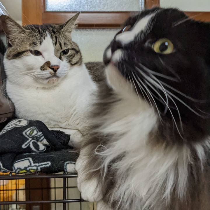 66620bbd 4e06 4621 a4ed 8f38b558be8e 1670853998250