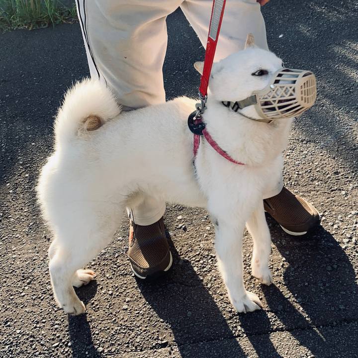 66621f4d 2755 4c50 ad26 0c23f60f103a 1591217822333