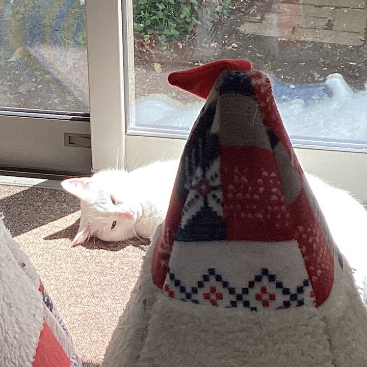 66622018 7232 4449 8fae 9fdf22dc5e41 1745033793462